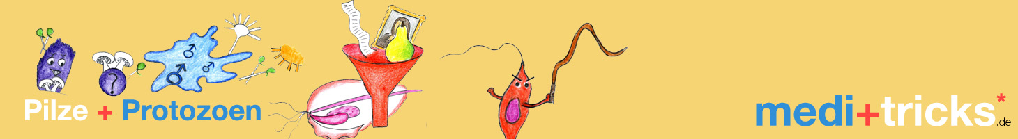 Dermatophyten Teil 1 Merkbilder