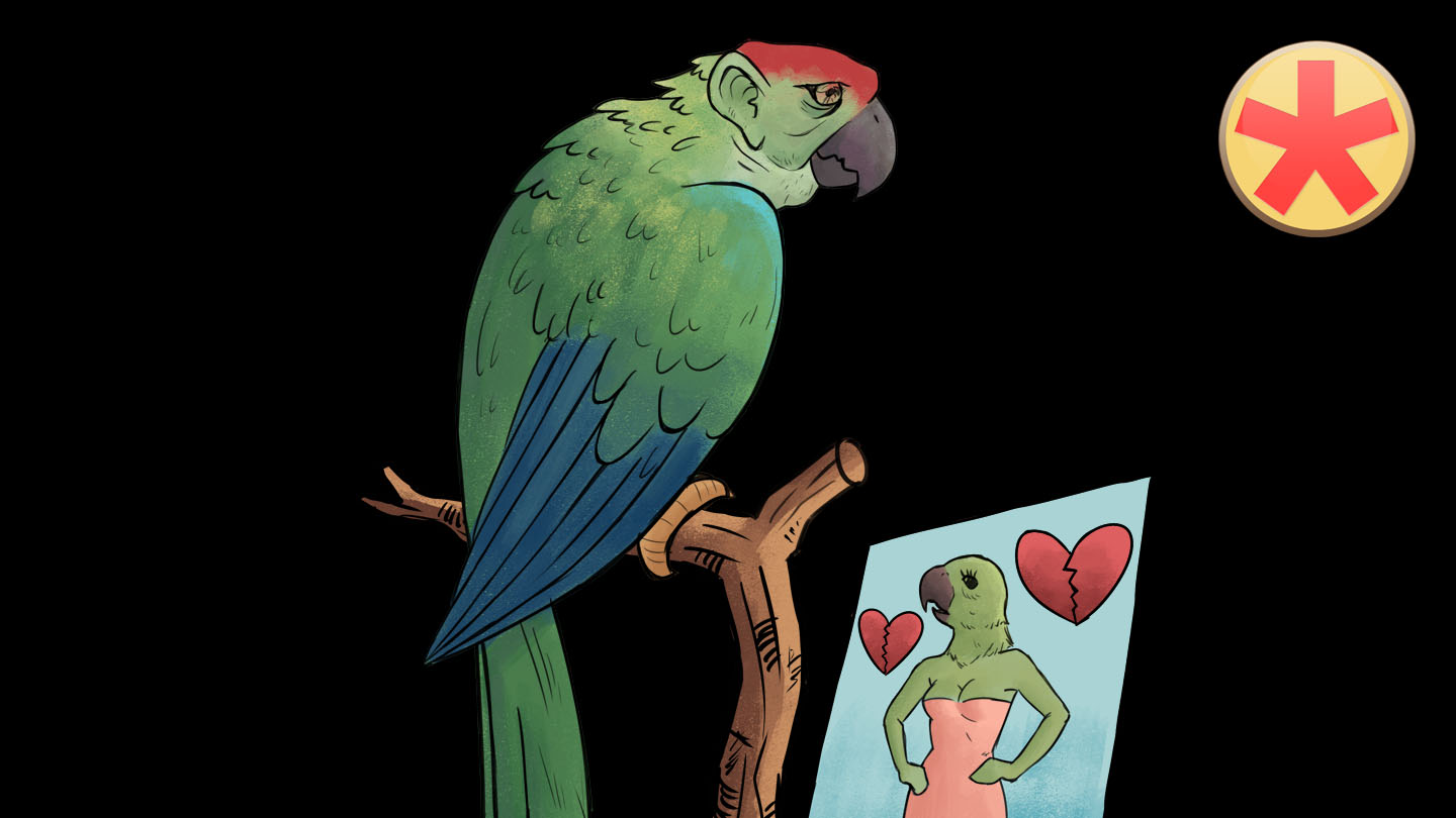 Ornithose Archive Merkbilder