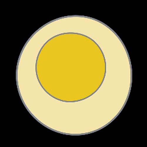 T-Zelle merken mit Meditricks.de