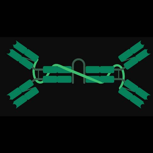 IgA2 merken mit Meditricks.de