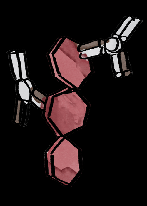 Immun-Saga: Immunkomplexe