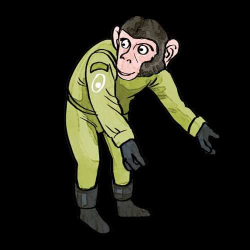 Immun-Saga: Afferente Lymphgefäße