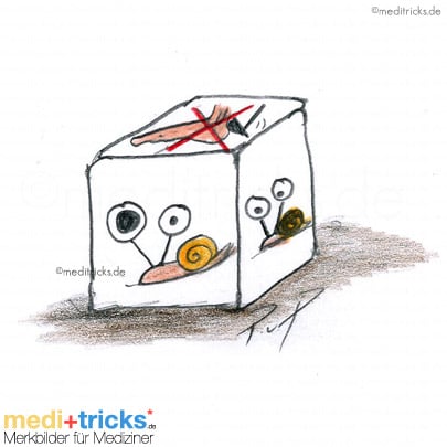 Abbildung von meditricks.de