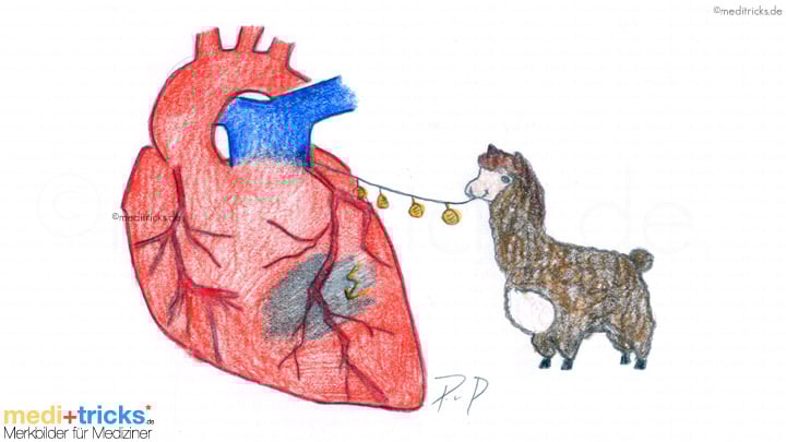 Abbildung von meditricks.de