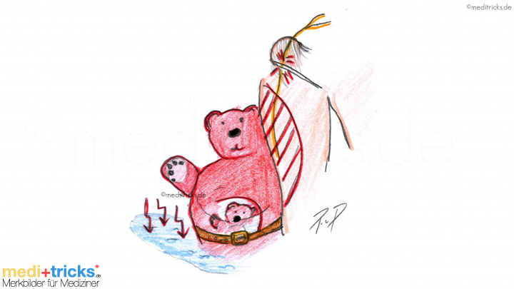 Abbildung von meditricks.de