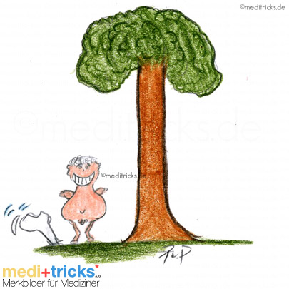 Abbildung von meditricks.de