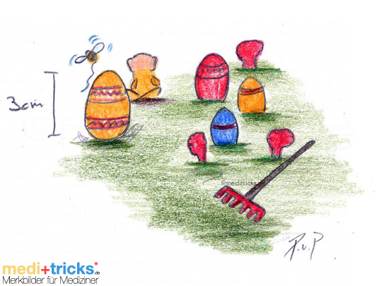 Abbildung von meditricks.de