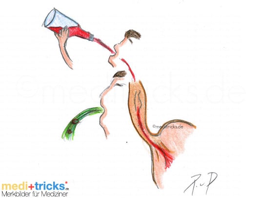 Abbildung von meditricks.de