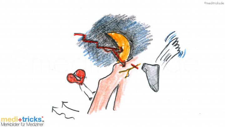 Abbildung von meditricks.de